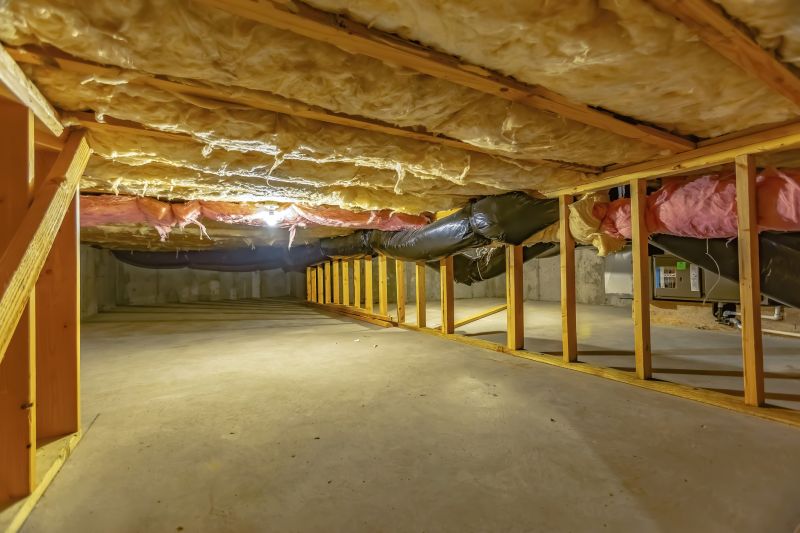Crawlspace Before Encapsulation